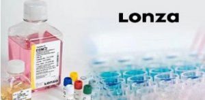 EGM-2培養基-LONZA細胞培養基